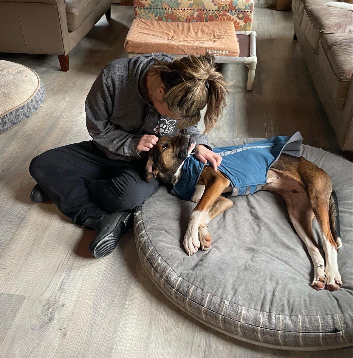 “Courtesy” post - “Sal” is  AVAILABLE for ADOPTION please contact the rescuer directly by email : 
Redefined22@gmail.com 
This is NOT a n <a href="/thankdogiamout/">Thank Dog I Am Out Dog Rescue Society</a> dog. 
“Sal” is currently being fostered in Mission, BC.
Sal’s Bio:
Female
2’sh years old
Underweight (at 50 lbs now but needs