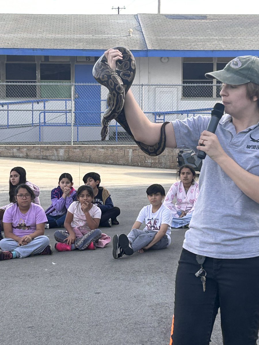 Today our Wolverines enjoyed a reptile show during the after school program. They loved learning about these animals with this hands on presentation! #workmanwolverinepride #delhavencommunitycenter #workmanelementaryschool