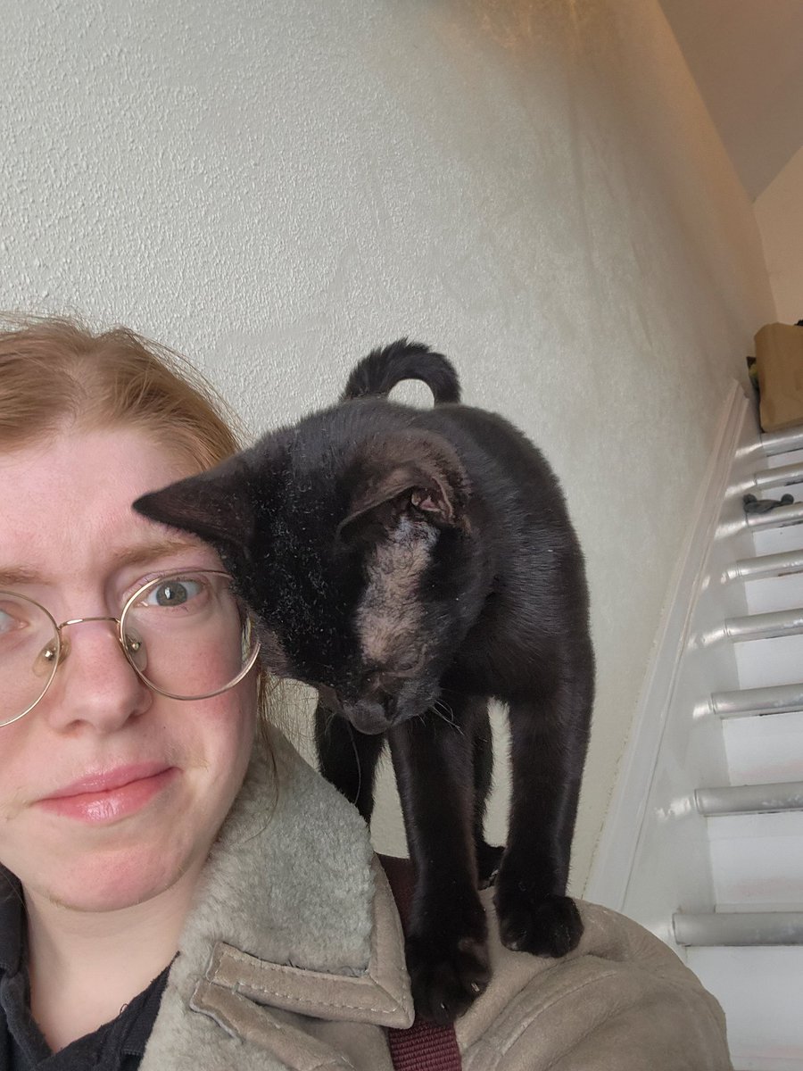 threebeanbags's tweet photo. trying to leave for work when this bastard decides it's lovey time. jump on da shoulders for da love https://t.co/Y6giRDxApv