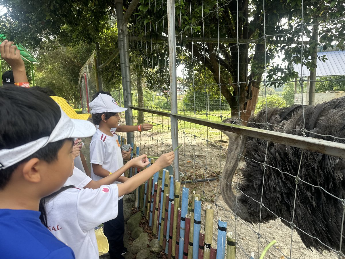 HIS BM Primary tweet media