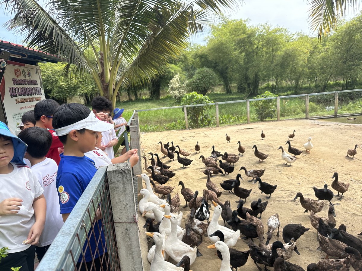 HIS BM Primary tweet media