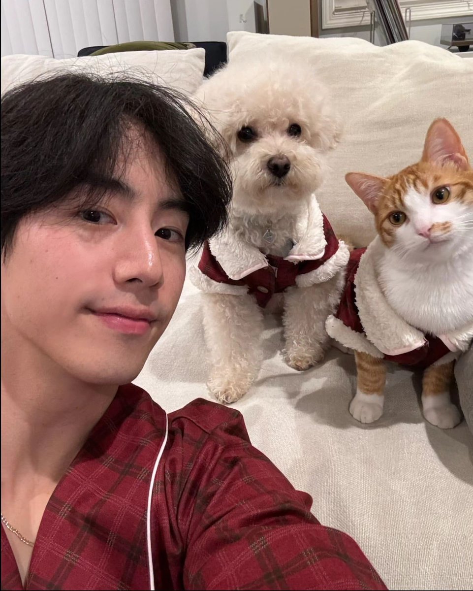 yiennyoung's tweet image. "thank god you're not a photocard" selcas