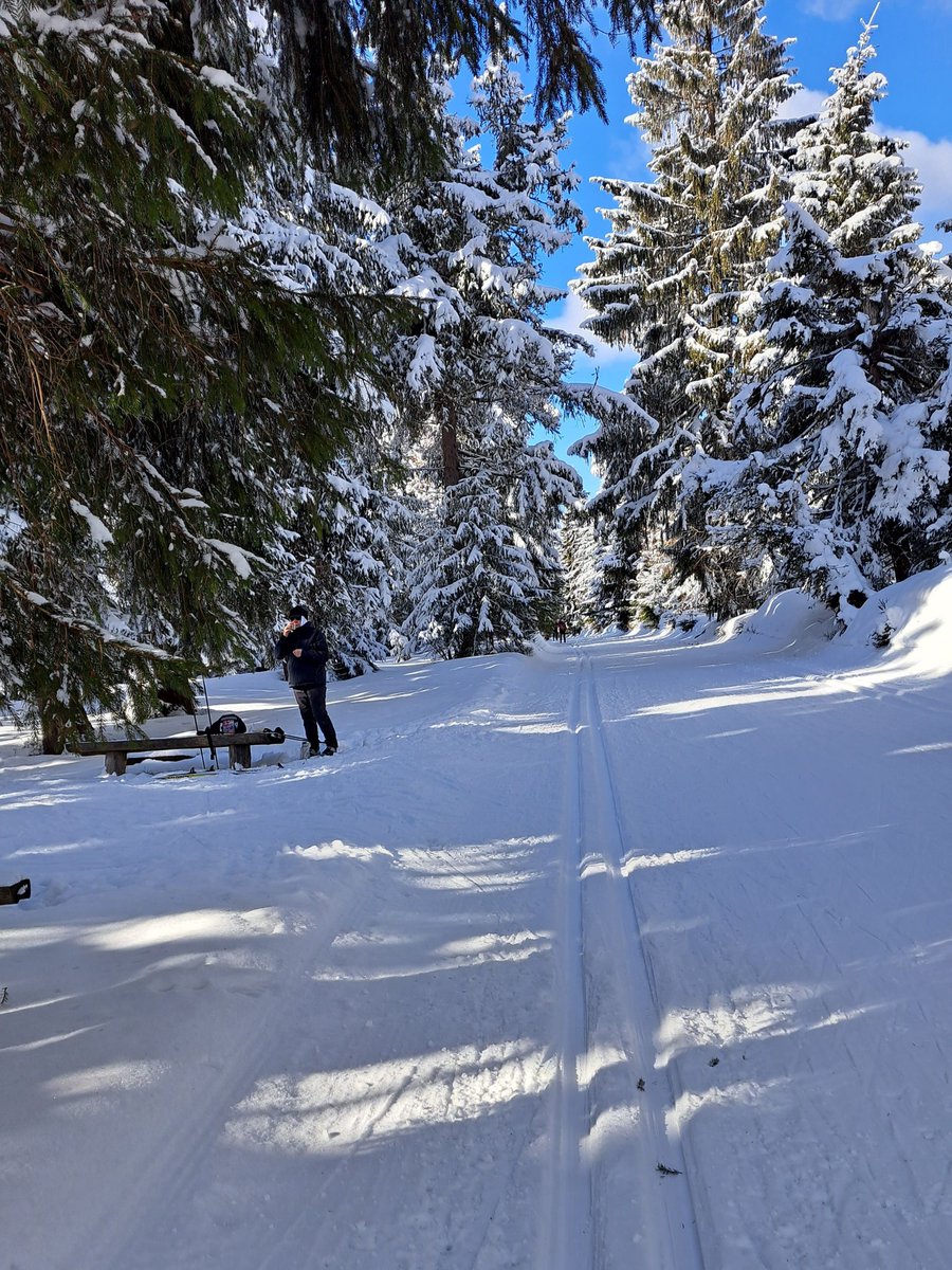 Bieg Piastów tweet media
