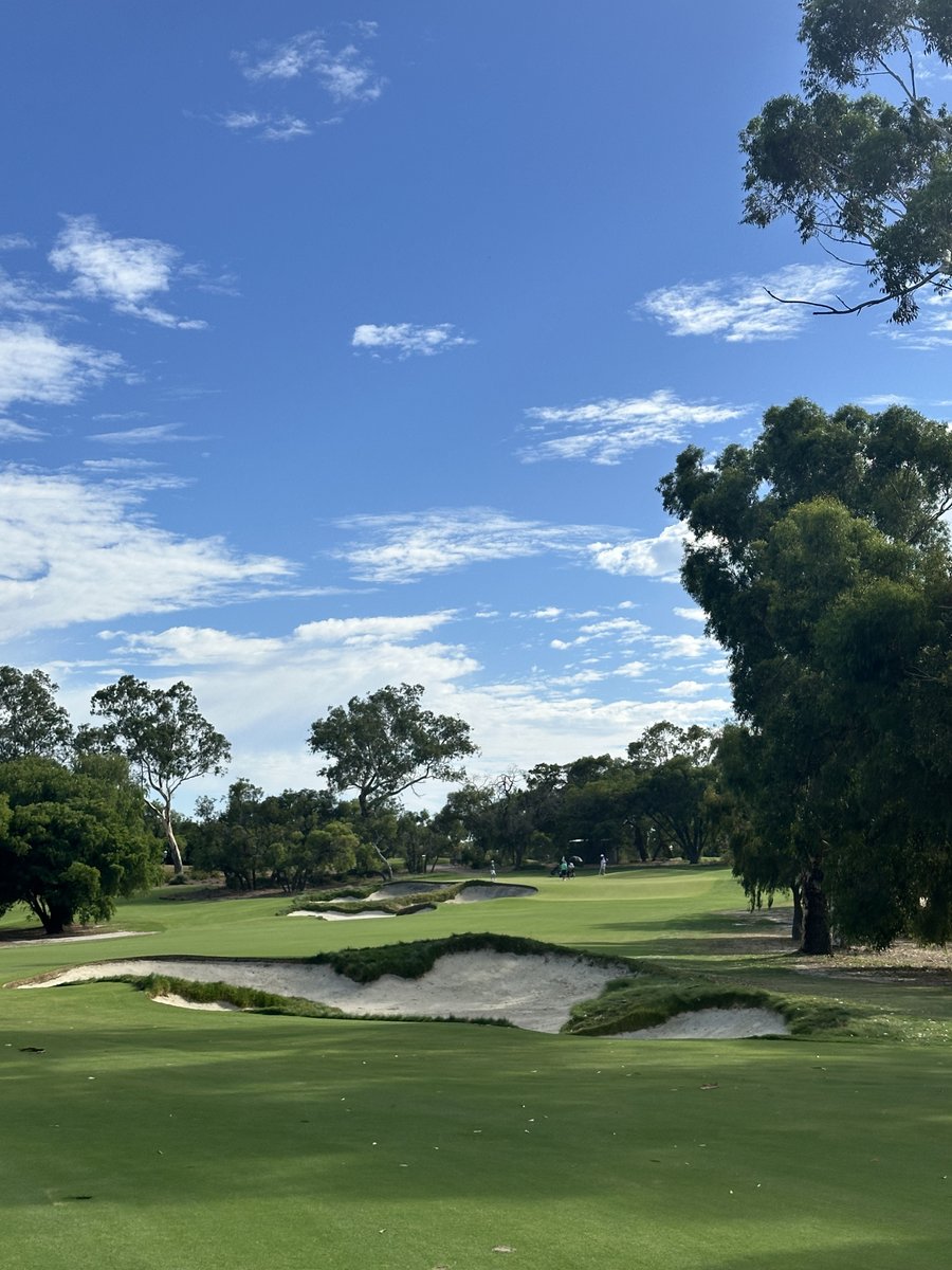 OCM Golf tweet media