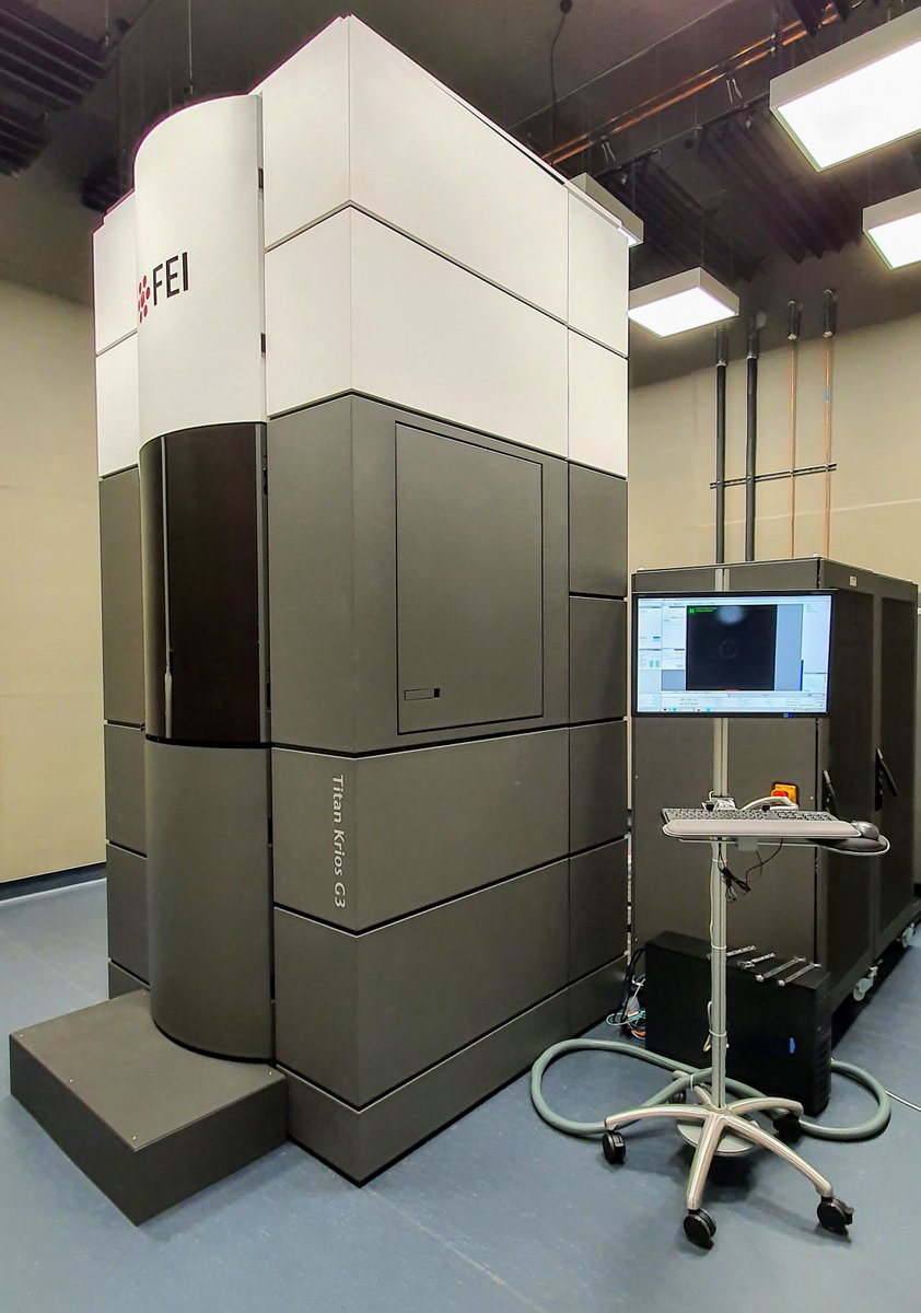 Gökhan Tolun tweet media