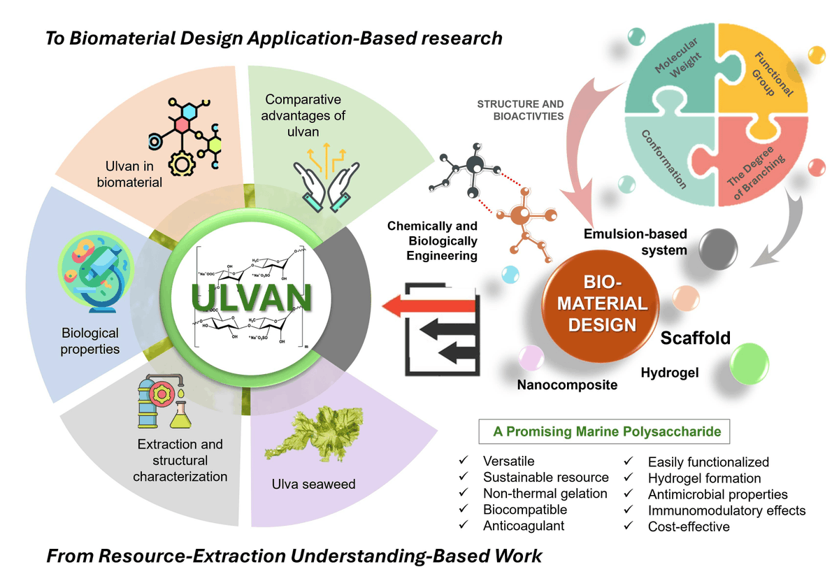 Marine_Drugs's tweet photo. Review: Ulva Seaweed-Derived Ulvan: A Promising Marine Polysaccharide as a Sustainable Resource for Biomaterial Design, by Rizfi Fariz Pari et al.
https://t.co/oCuedf4p1t
#cellulose #greenseaweed #marinebiomaterial #ulvan #marinepolysaccharide https://t.co/XVvlkWaqHJ