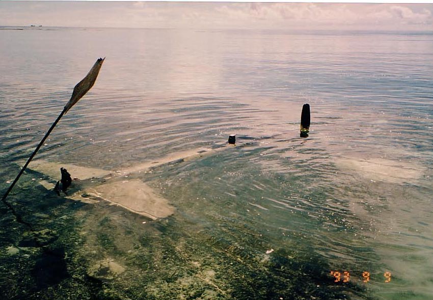 Rock Islands (Chelbacheb) Palau 1993......returning 2025