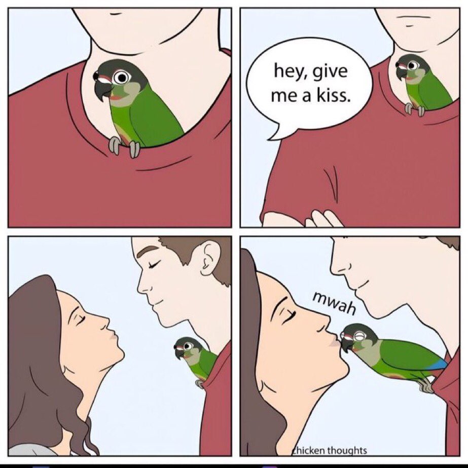Out of Context Birds tweet media