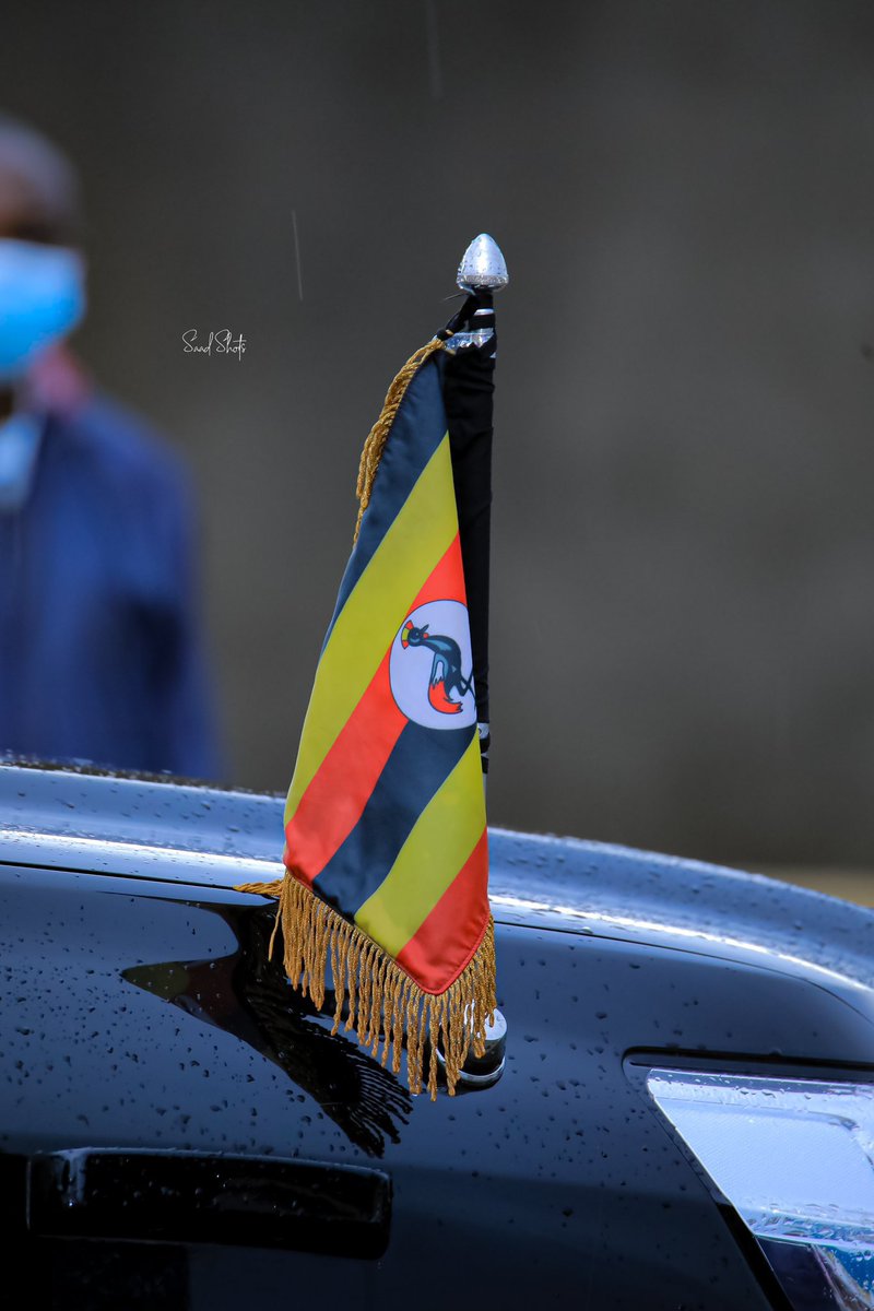 When you see this, kindly just repost..