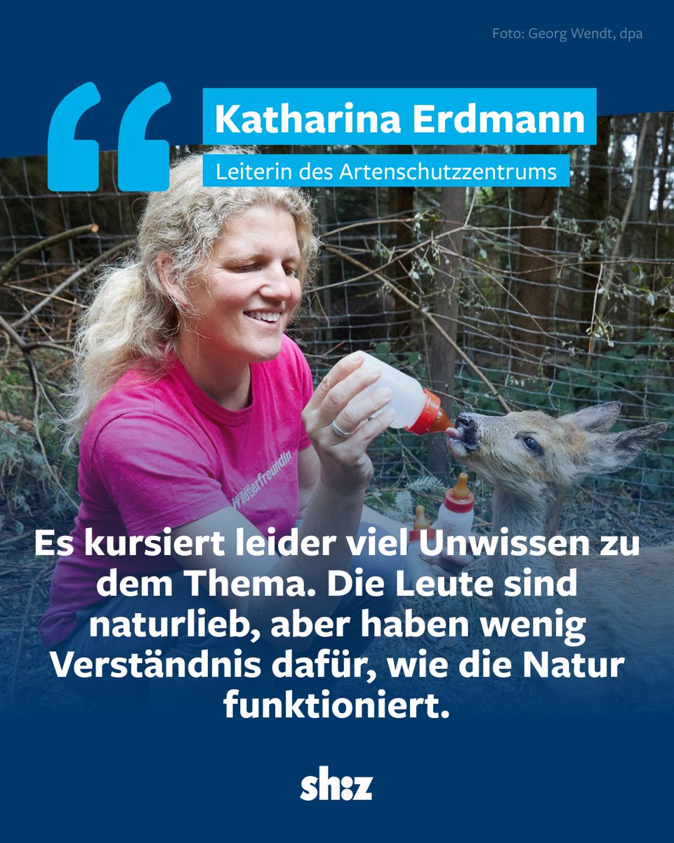 🐰 Weniger ist oft mehr beim Umgang mit Wildtieren. Katharina Erdmann, Leiterin der Auffangstation Klein Offenseth-Sparrieshoop, erkärt, worauf es wirklich ankommt. Link zum Artikel shz.de/48356276