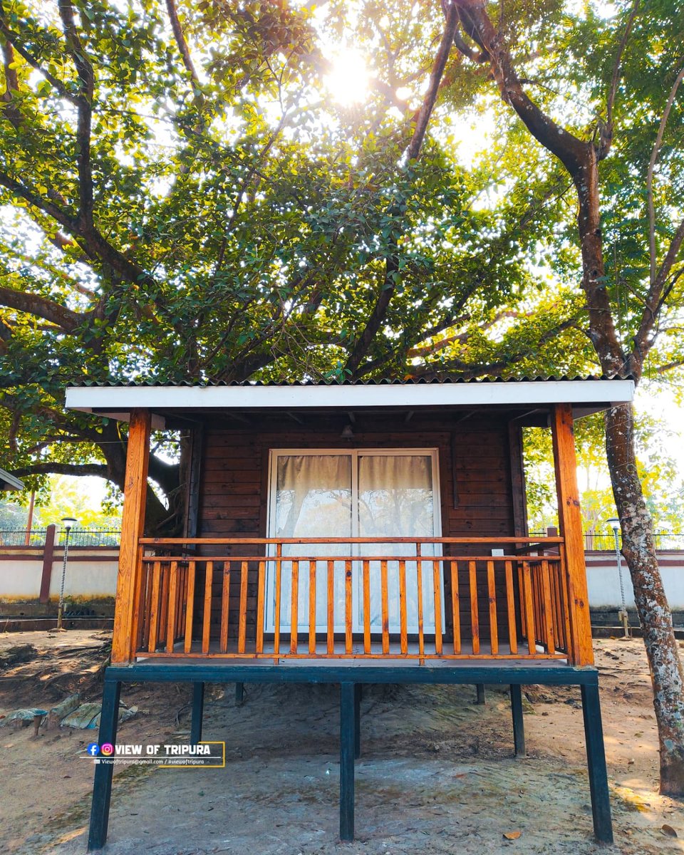 JamatiaLakit's tweet photo. Embracing the serenity of nature ๐๐
TTAADC Gairing Log Huts ๐
๐ Khumulwng, Opposite Zonal Office, Tripura.#viewoftripura #viewofagartala #nature #naturephotography #naturelovers #naturelover #naturegeography #naturephotographer #tripuratourism #loghut #outing #outingplace https://t.co/jvz5CQKGkZ