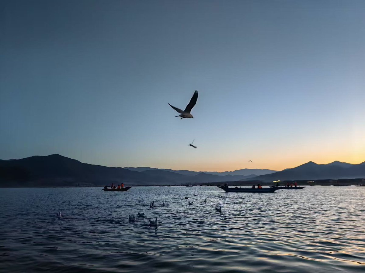 在泸沽湖中坐在小船里静等海鸥起床，喂它们早饭。