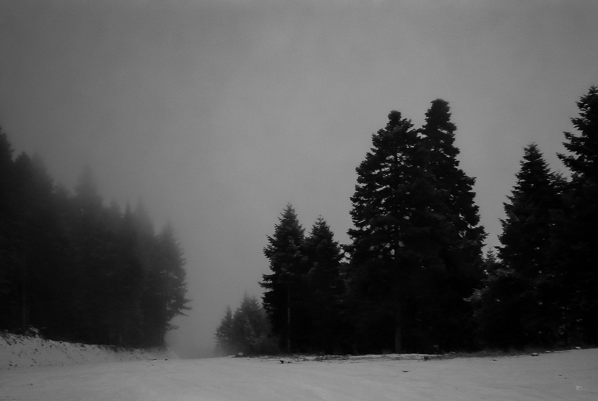 gm amazing friends!

"Winter's Whisper" on secondary Objkt 📷