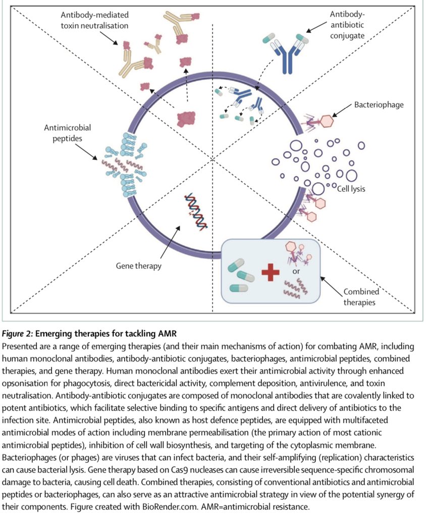 Revisión📚<a href="/LancetMicrobe/">The Lancet Microbe</a> en #RESISTENCIAS Antimicrobianas
💊Mecanismos acción d ATB
💊Mecanismos d resistencias 
💊❌Otras terapias👉🏻 #AcMonoclonales, #Peptidos, #Fagos y #TerapiaGénica)
Interesantísimo‼️Aporta otras terapias q pueden ser el futuro🔮
🔗🆓 thelancet.com/action/showPdf…