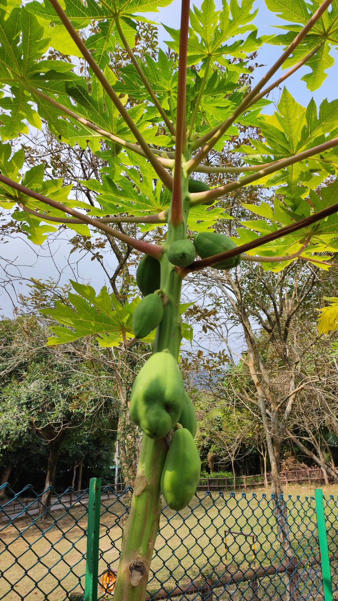 Something magical happens when children play and learn outdoors #outdooreducation #habitats #biodiversity #stewardsoftheplanet