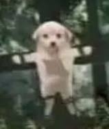 Joder q ganas de crear una historia de romance