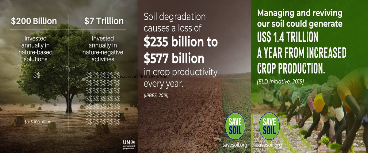 Investments in nature-based solutions will need to at least triple by 2030 if the world is to meet its climate change, biodiversity and land degradation targets-IPBES
#SoilFirst #AllHandsForSoil #cpsavesoil #SaveSoil #PolicyForSoil