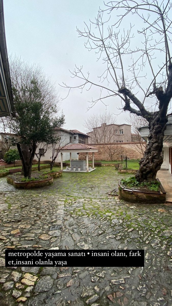 H. Tayyip Gündüz tweet media