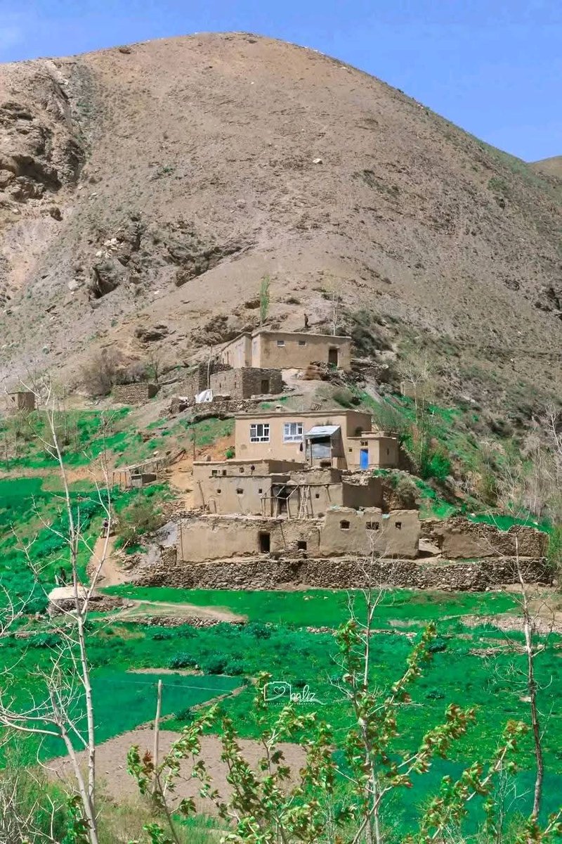 ورس
#بامیان 
#هزارستان