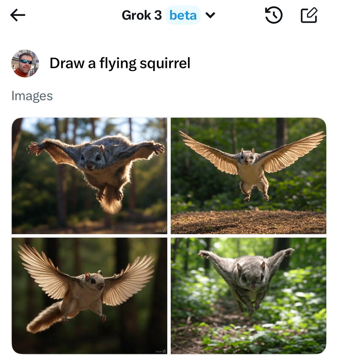 grok3 still fails the flying squirrel test