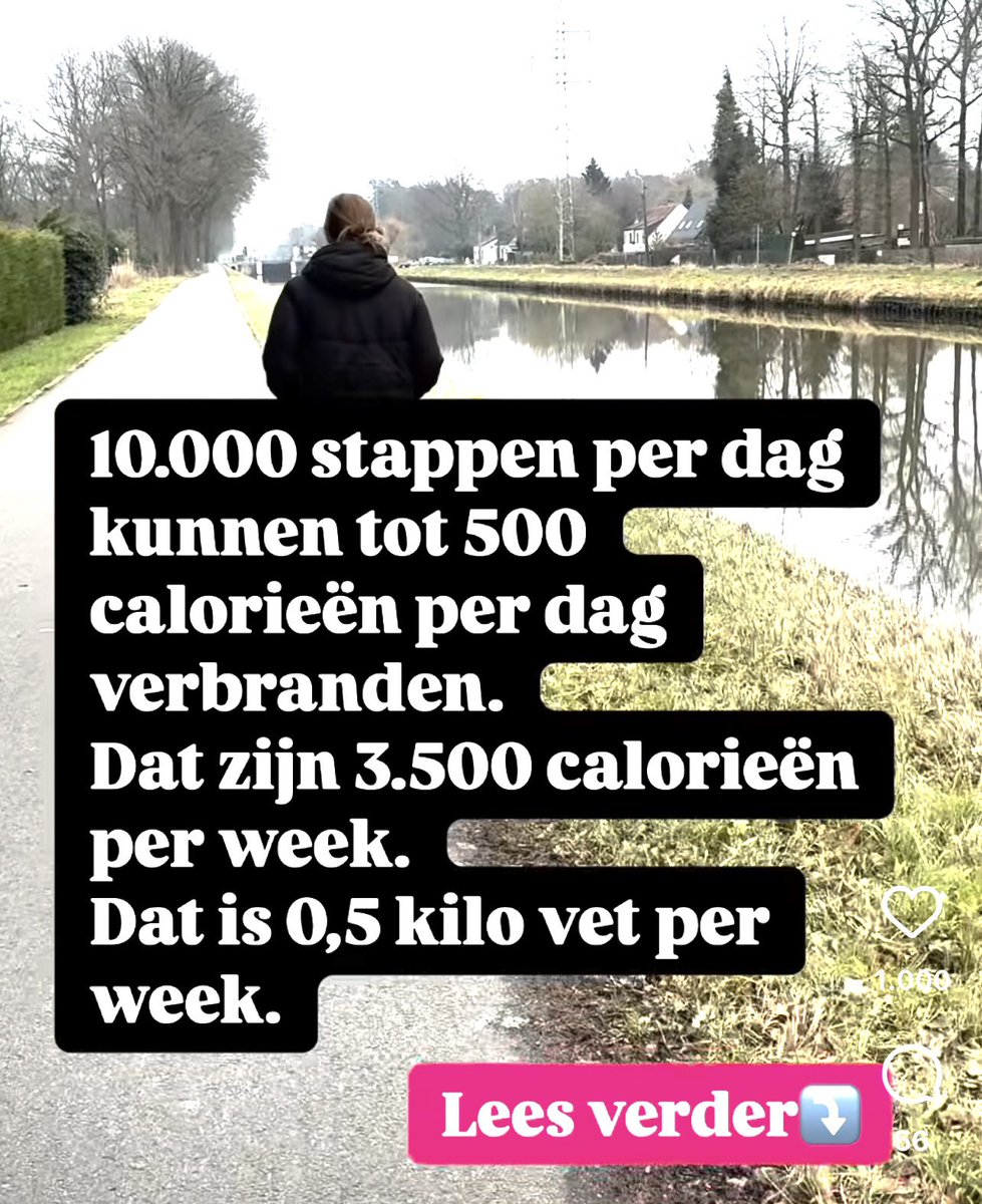 ZuidB's tweet photo. https://t.co/e21ZD0AvVn https://t.co/JLKKliFgp2