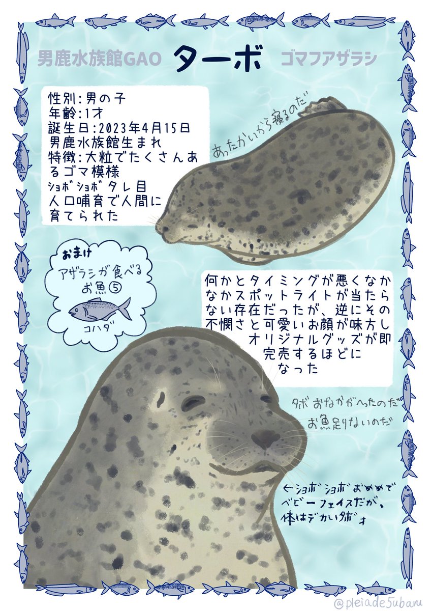 昴 subaru tweet media