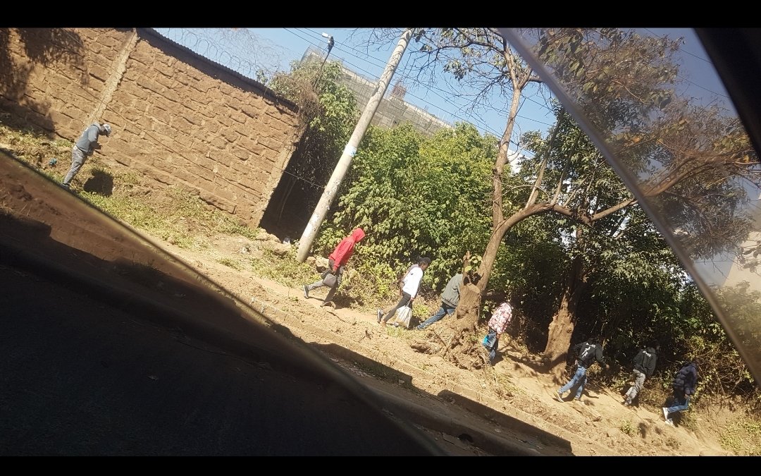 Clifford Juliens tweet media