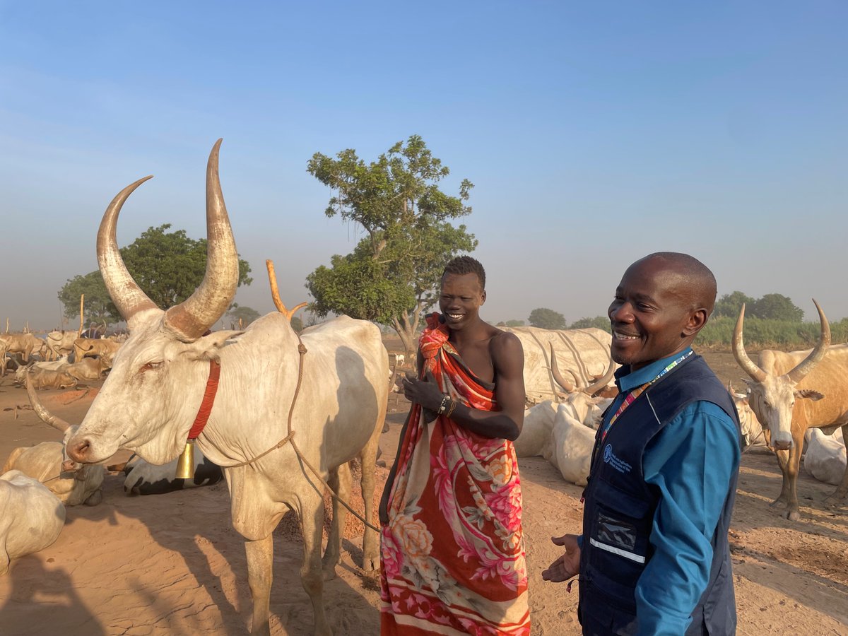 FAOSouthSudan's tweet photo. .@FAO #SouthSudan took @GERinSSD, @NLinSouthSudan, @UKinSouthSudan &amp; @MaxwellSibhens on a visit to a cattle camp in Jebel Ladu, showcasing our efforts to support pastoralist communities 🐄

They toured the cattle camp, met with the community &amp; distributed food grade milking cans. https://t.co/wDEXu0kOs5