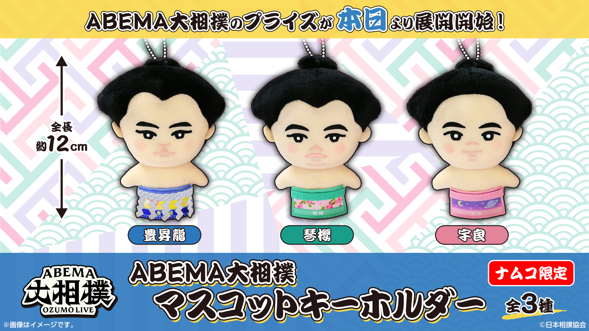 【レア物】大相撲グッズ【未使用品】 2025年最新】Yahoo!オークション -相撲(アンティーク