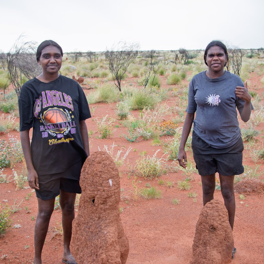 KJMartu's tweet photo. #KJCulturalPrograms helps #Martu preserve #TraditionalKnowledge. Last year, 40 #KJMartuRanger women gathered #OnCountry to share #Bushfood + medicine knowledge, creating natural remedies. 5 young Martu joined to learn from Elders, #KeepingCultureStrong for future generations. https://t.co/fRhR7SLhFk