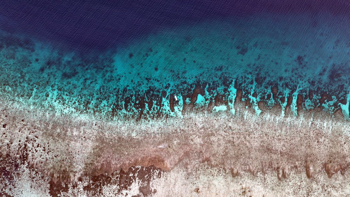 Finally out on <a href="/SpringerCORE/">Springer Coral Reefs</a> with my geology-oceanography-ecology hybrid paper. Ready to dig deeper into this approach over the next few years of PhD with <a href="/petemumby/">Peter Mumby</a> <a href="/UQscience/">UQ Science</a> <a href="/PICRCPalau/">Palau International Coral Reef Center (PICRC)</a> 
The best is yet to come!
doi.org/10.1007/s00338…