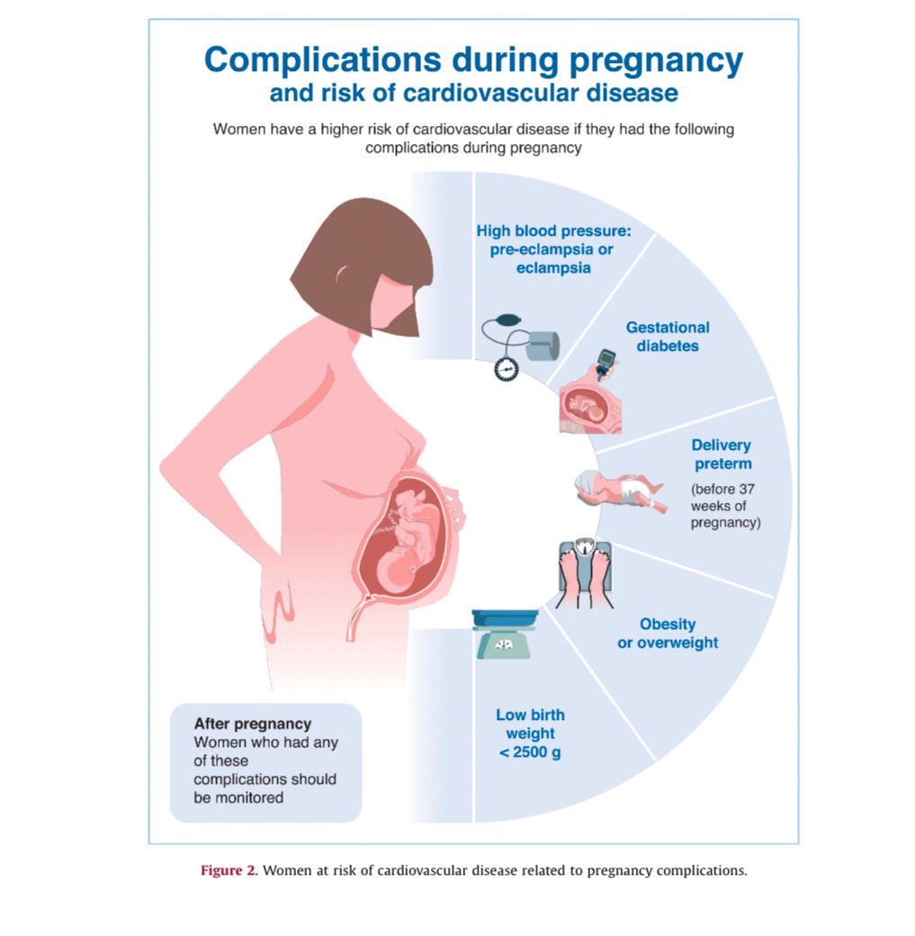 Almudena Castro Conde tweet media