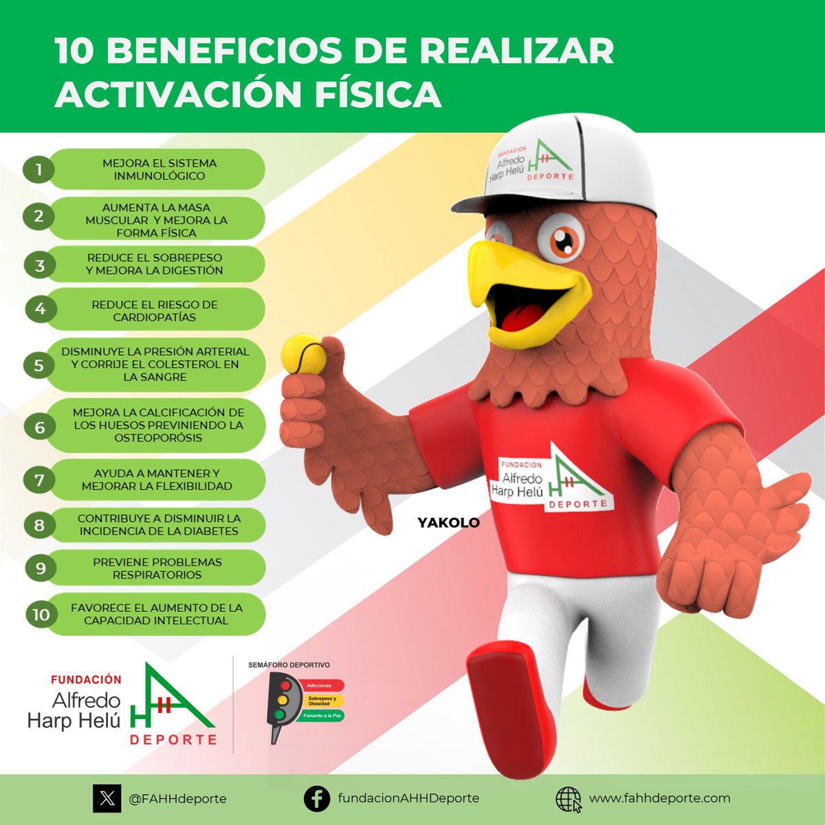 FAHHdeporte's tweet photo. Conoce 1⃣0⃣ beneficios de realizar #ActivaciónFísica de manera frecuente.
#SemáforoDeportivo 🔴🟡🟢 https://t.co/kSNtZ3phK9