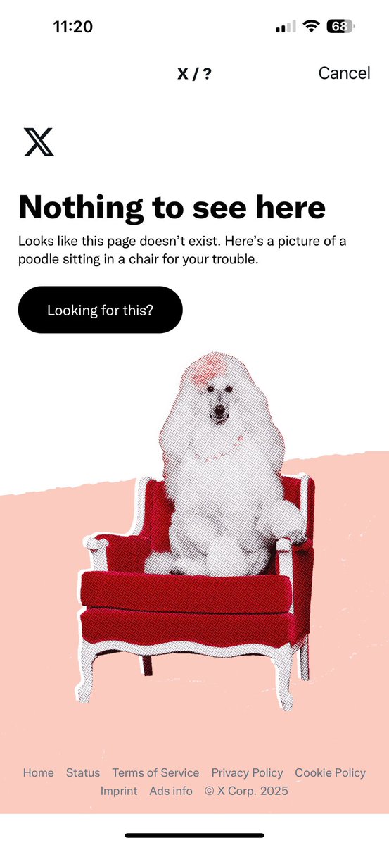 So in case you think this platform continues to accept vetted ads and adhere to any standards, here is what happens when you try to report a political ad that doesn’t reflect #TruthInAdvertising.  
Bye bye X. You have become a bottom feeder of #socials.