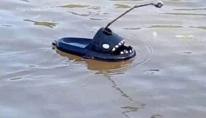 ปลาแองเกอร์ฟิช