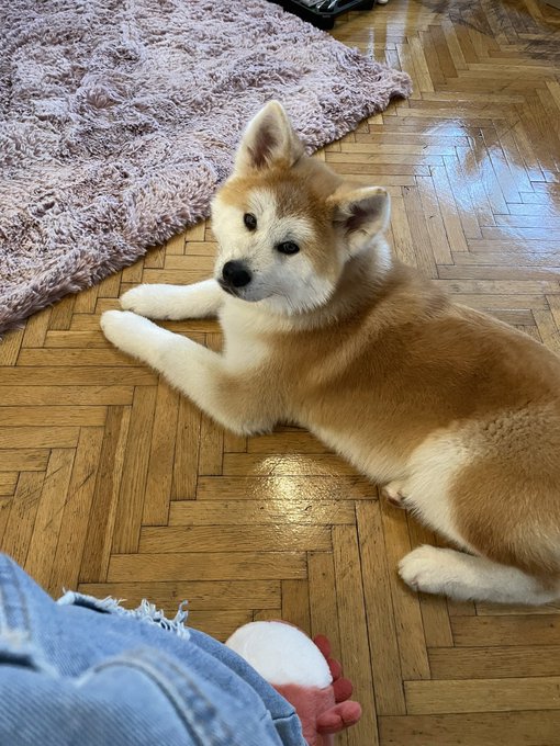 Watch Amber Kawaii's leaked NSFW photo on TwXstars