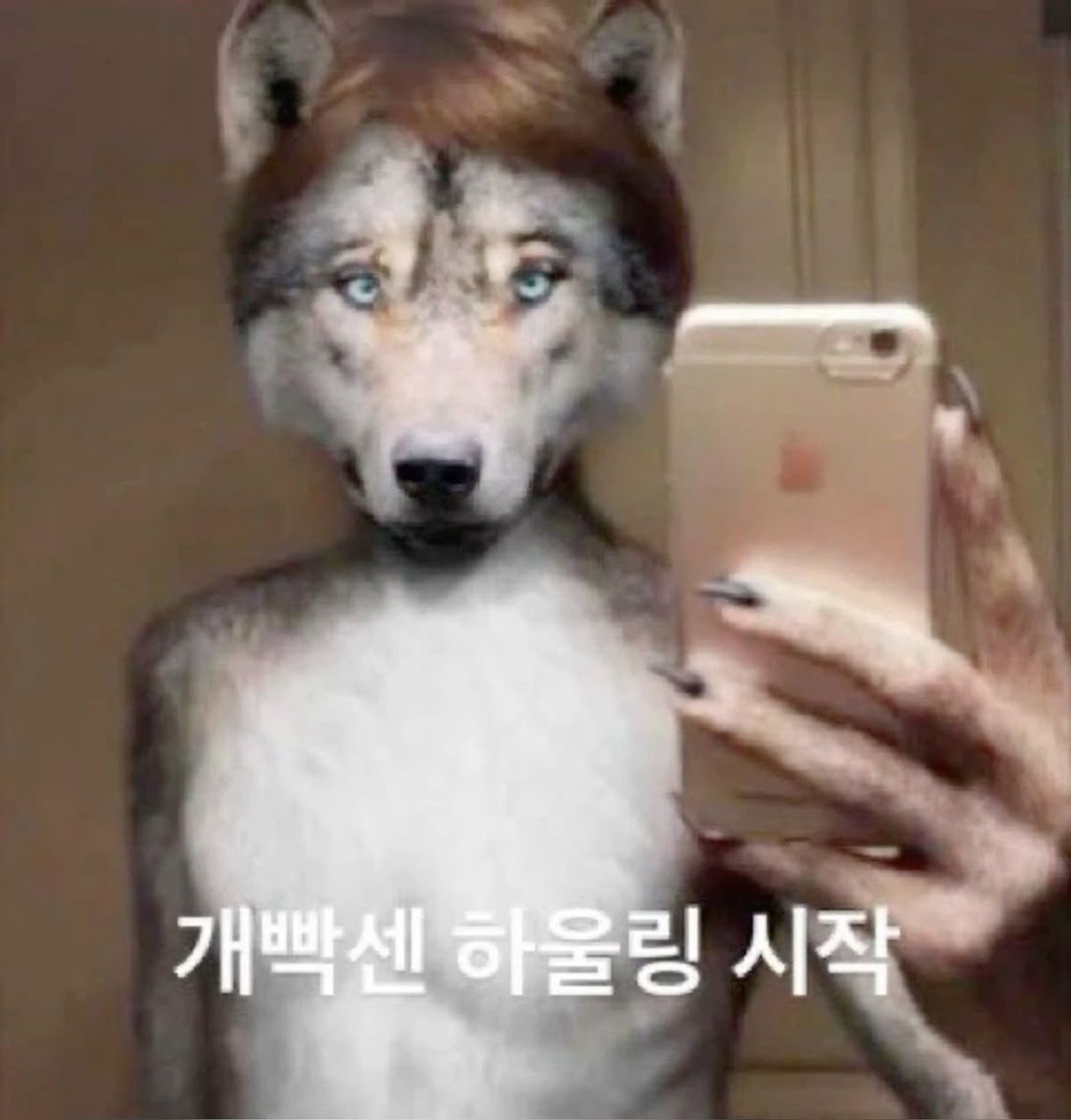 mong_026's tweet photo. https://t.co/YPRhq2cdmE