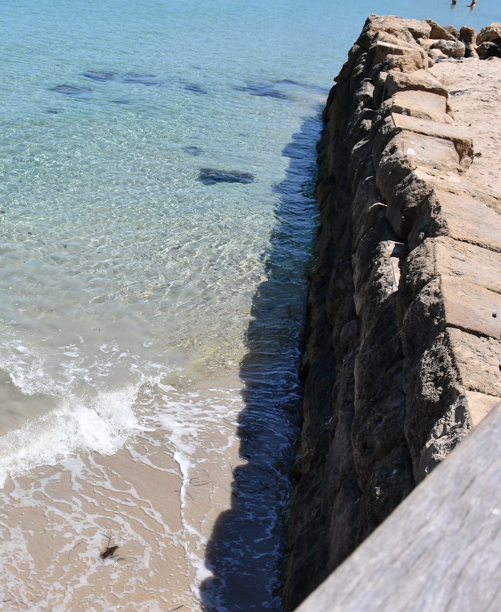 freopics_'s tweet photo. Some pics from my camera ๐ท
#infreo #fremantle #freopics https://t.co/9V7V1Au2Rx