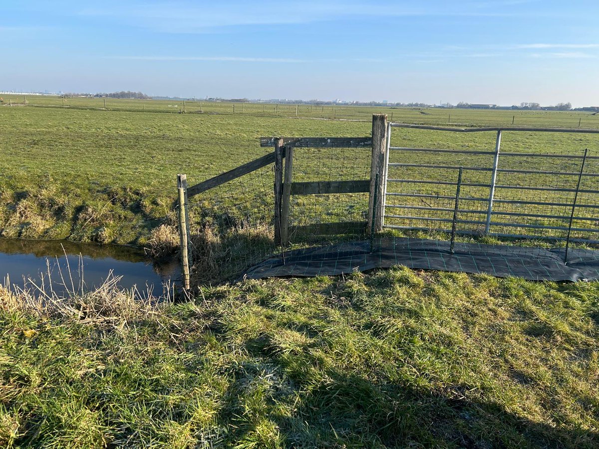 Weidevogels Midden-Delfland (@weidevogels_md) on Twitter photo De vossenrasters zijn geplaatst. Een hekwerk wat ondrr stroom staat om de nesten van weidevogels te beschermen.
Bij <a href="/RoelvBuuren/">Roel van Buuren</a> hebben we ook worteldoek gebruikt.
<a href="/Rdamdeboerop/">Rotterdam de boer op!</a>
<a href="/vogelnieuws/">Vogelbescherming NL</a> <a href="/VroegeVogels/">Vroege Vogels</a> #Vockestaert
@PuuurMD <a href="/Midden_Delfland/">Gemeente Midden-Delfland</a> De vossenrasters zijn geplaatst. Een hekwerk wat ondrr stroom staat om de nesten van weidevogels te beschermen.
Bij <a href="/RoelvBuuren/">Roel van Buuren</a> hebben we ook worteldoek gebruikt.
<a href="/Rdamdeboerop/">Rotterdam de boer op!</a>
<a href="/vogelnieuws/">Vogelbescherming NL</a> <a href="/VroegeVogels/">Vroege Vogels</a> #Vockestaert
@PuuurMD <a href="/Midden_Delfland/">Gemeente Midden-Delfland</a>