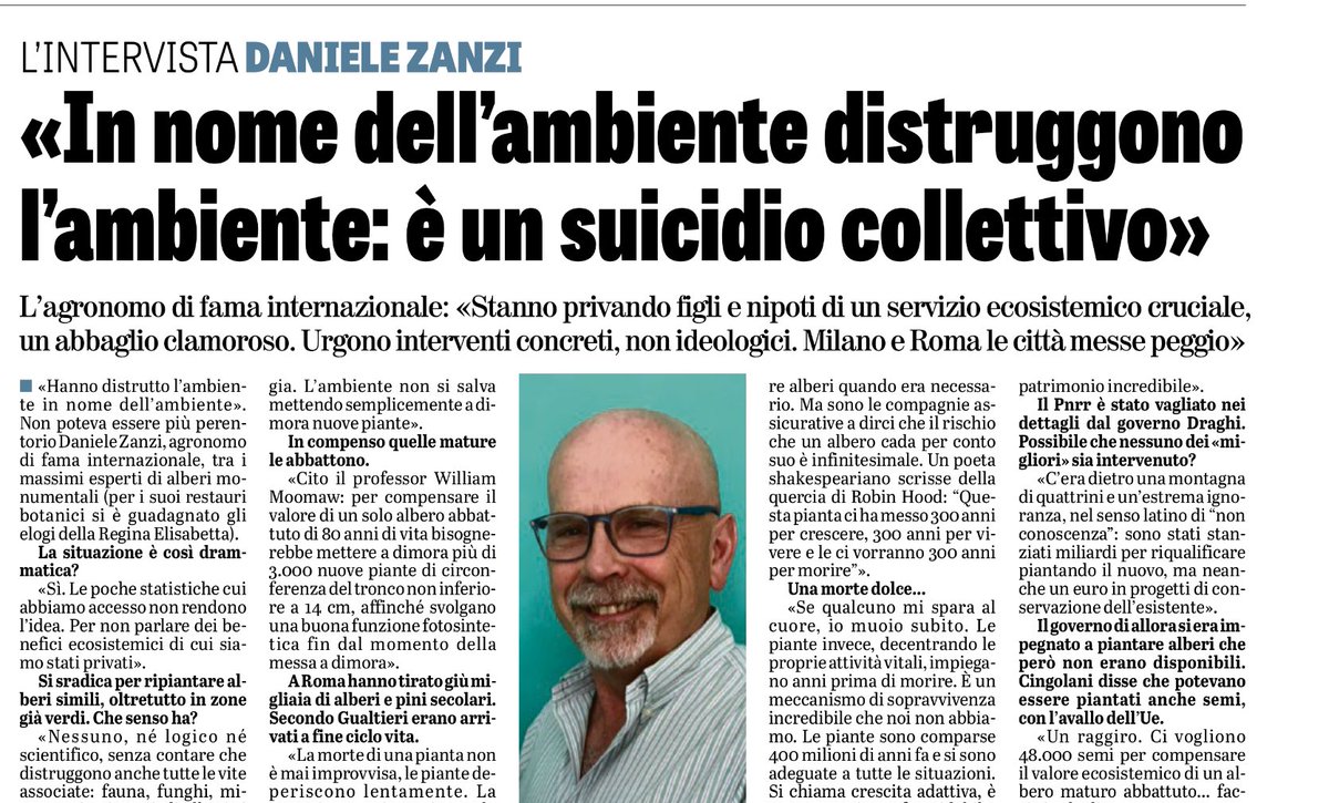 Per Daniele Zanzi, agronomo di fama internazionale, gli alberi non cadono all’improvviso perché “malati”: i danni sono provocati dall’uomo. Con il Pnrr sono stati stanziati miliardi per ‘riqualificare’ piantando il nuovo, ma neanche un euro per la conservazione dell’esistente.
Lo