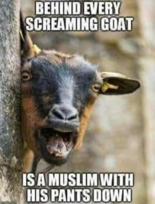 Infidel66678154's tweet photo. A special shout out to Muslims across the world...
Fuck You! https://t.co/5QrmWZxtC8
