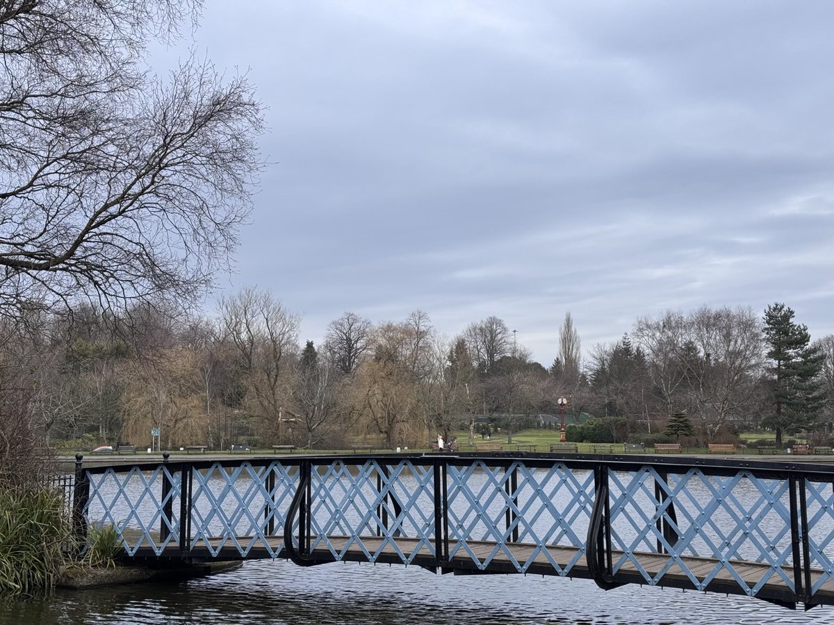 Pauline Holland tweet media