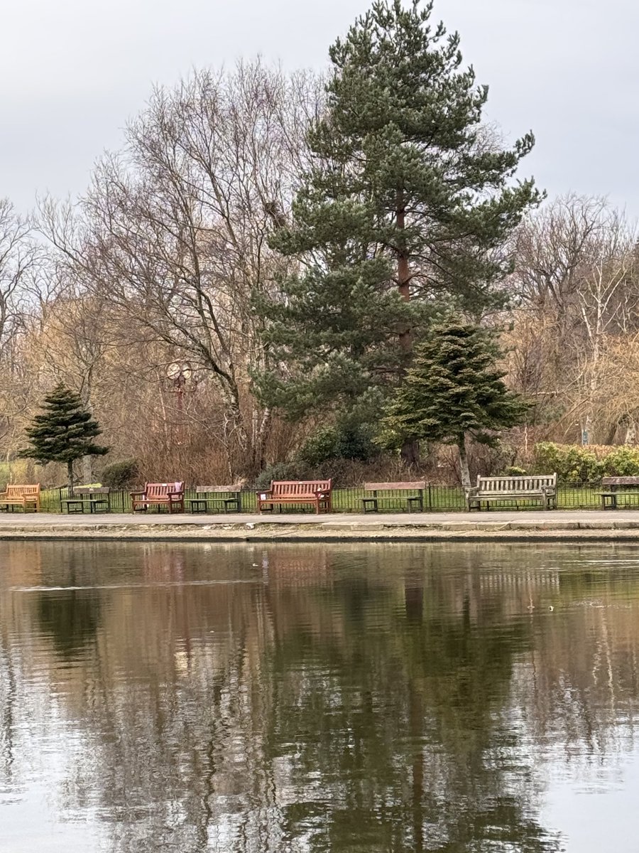 Pauline Holland tweet media