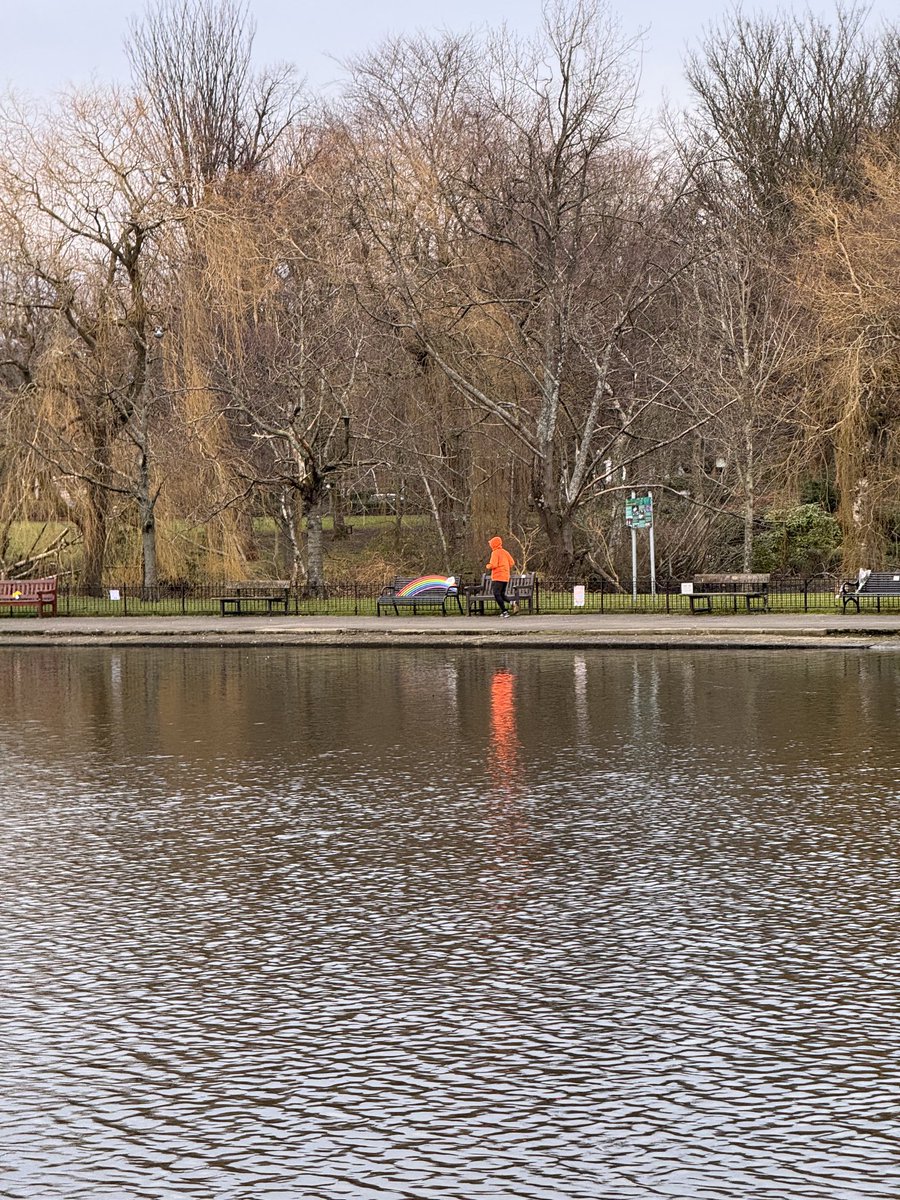 Pauline Holland tweet media