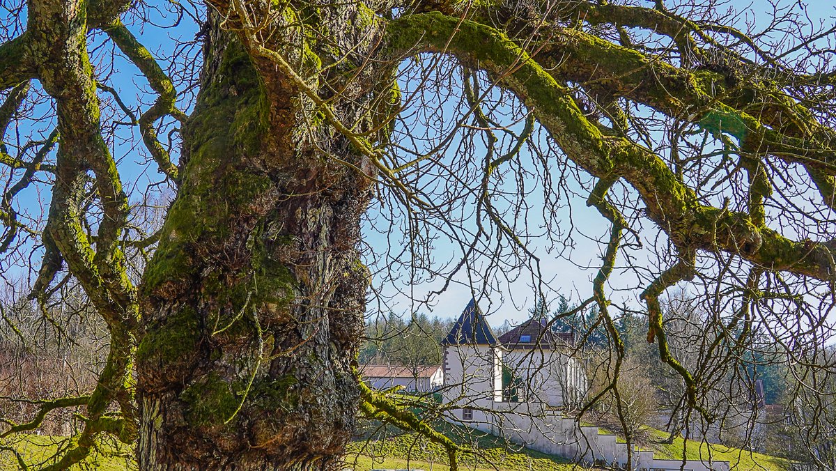 wndnde's tweet photo. 📸 Tolle Impressionen aus dem St. Wendeler Land! 🌿🏔
#Imsbach #Schaumberg #Bostalsee #Saarland
📷 Fotos: Anton Didas https://t.co/1UPUuxFK5b