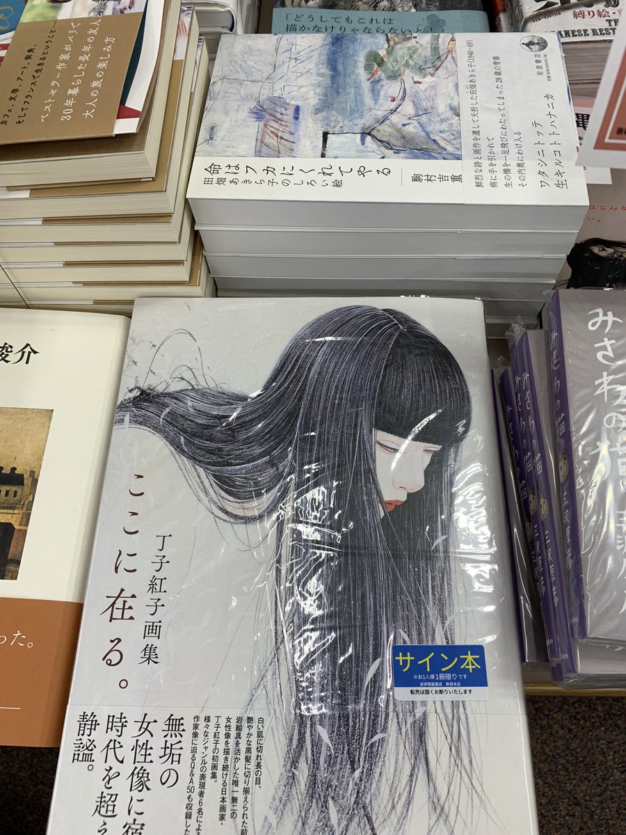 【サイン本‼︎】丁子紅子 ここに在る。【新品】画集 イラスト 帯付【未開封品】レア 丁子紅子画集 ここに在る。 | 芸術新聞社公式サイト