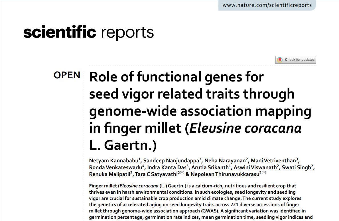 ICRISAT's tweet photo. We are glad to be a part of the recently published scientific report on "Role of functional genes for seed vigor related traits through genome-wide association mapping in finger millet"

The seed material for the diverse finger millet panel used in this study by IIMR was supplied by the #ICRISAT Genebank.

@icarindia @MilletsNews @CropTrust #Millets @PIBAgriculture @IYM2023 @AllAboutMillet @MVetriventhan 

Read the Publication here - https://t.co/foFoEWGFWD via @Nature 

Read the News here - https://t.co/nYljb8dZ5q via @pinnaclegazette