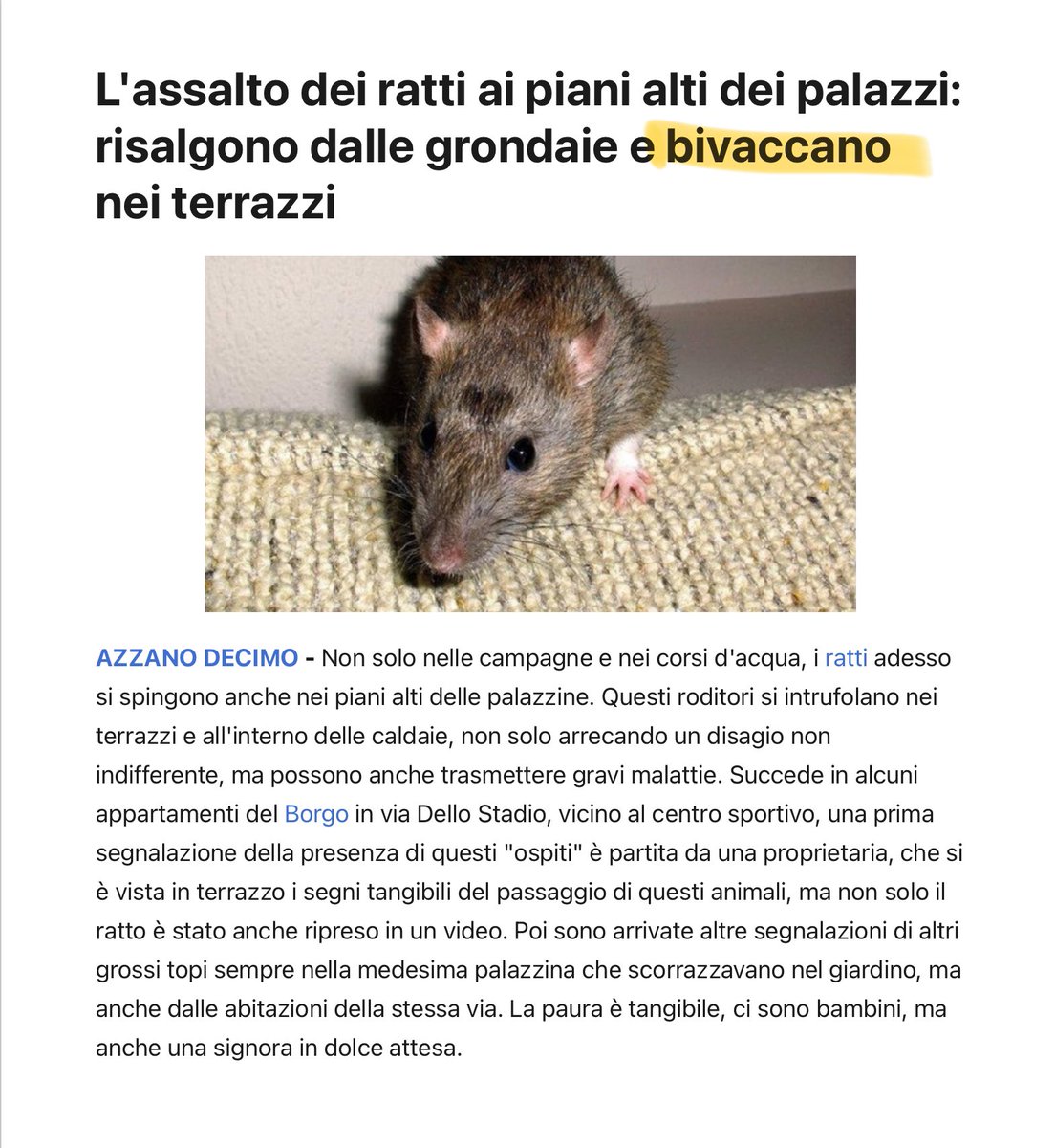ppiersante's tweet image. Non c’è nulla che terrorizzi i veneti più del bivaccare.
Se vedono qualcuno che bivacca invece di lavorare gli viene male. Vorrebbero topi operosi e indaffarati e invece ce li hanno lazzaroni. #FdD