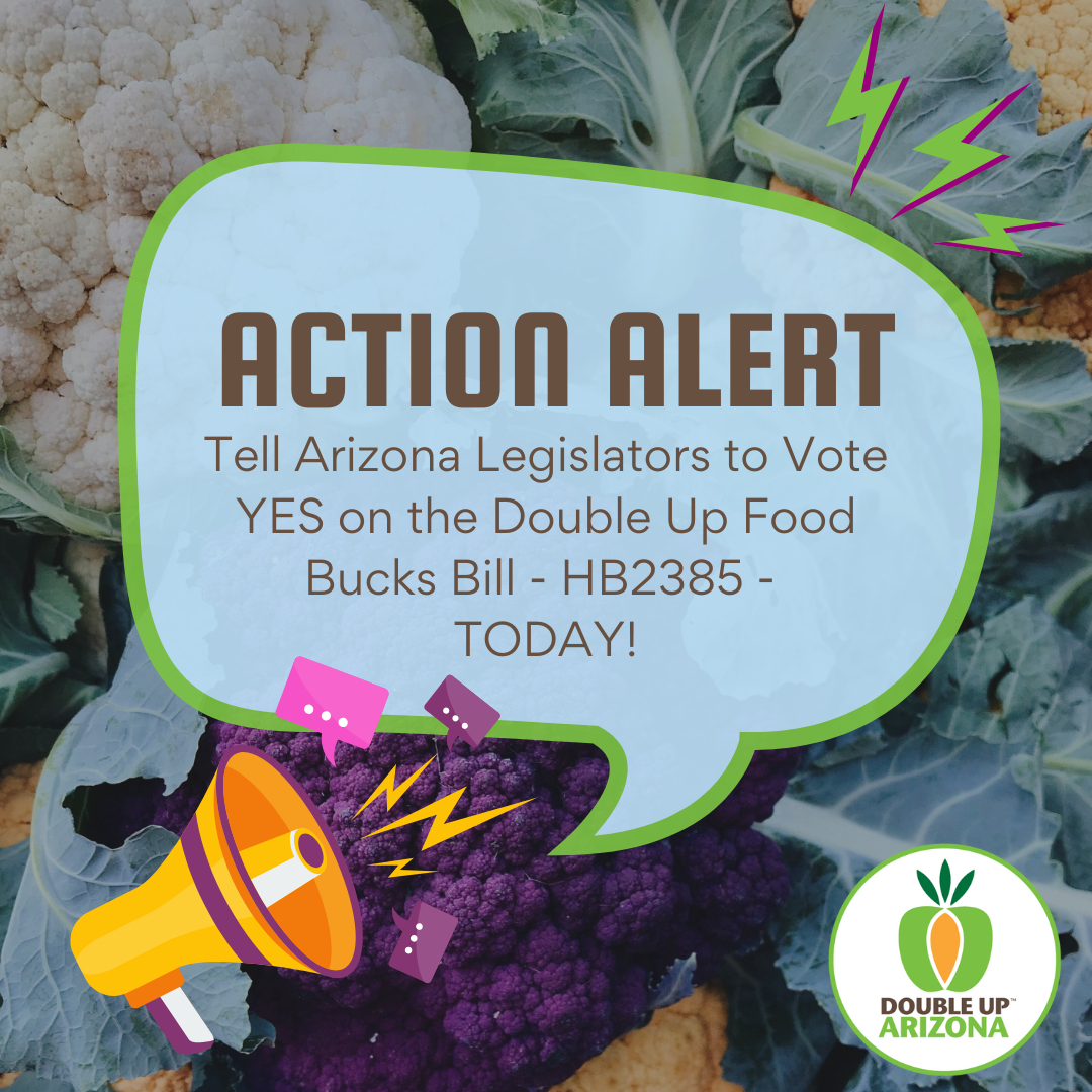 PinnaclePrevent's tweet image. ACTION ALERT: The Double Up Food Bucks Bill - HB2385 - Is Up for a VOTE in the House Appropriations Committee TODAY at 2:00 PM! 

Click to urge your legislators to vote YES TODAY!

**This Action Alert expires at 3:00 PM on 2/19**

Bitly:  bit.ly/DoubleUpAction1