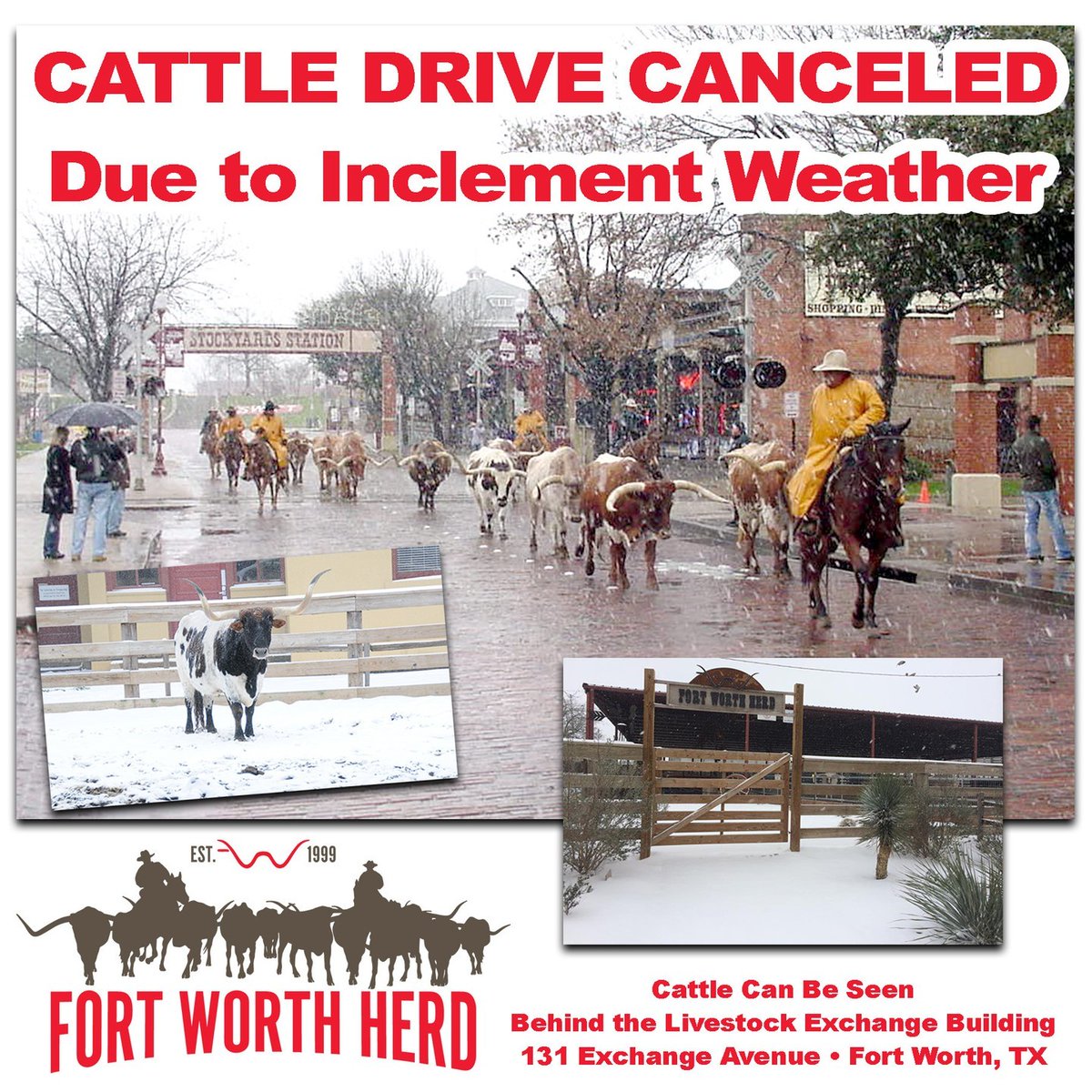 Wednesday, February 19: Due to inclement weather, both of The Fort Worth Herd’s twice-daily cattle drives are canceled. You can still see the cattle behind the Livestock Exchange Building at 131 East Exchange Avenue.